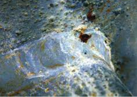 Climatic Environmental Testing Climatic Environmental Testing