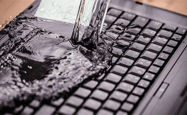 Campo elettronico ed elettrico