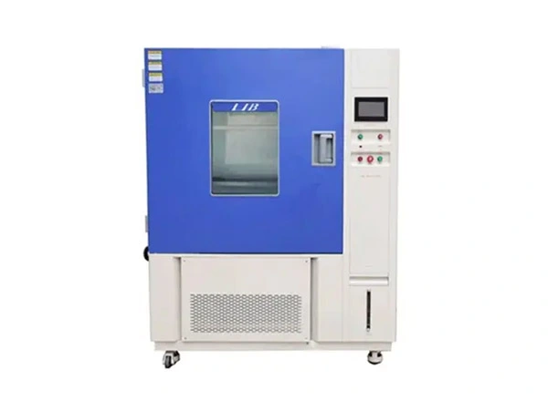 Camera del clima freddo