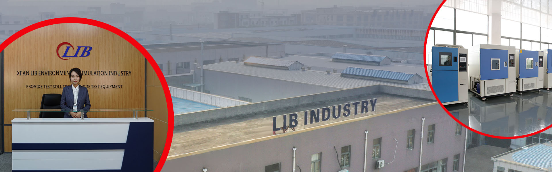 Informazioni sul settore LIB